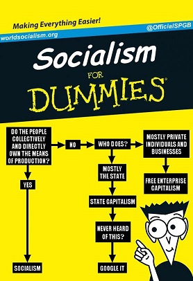 Socialism for Dummies resized 50.jpg