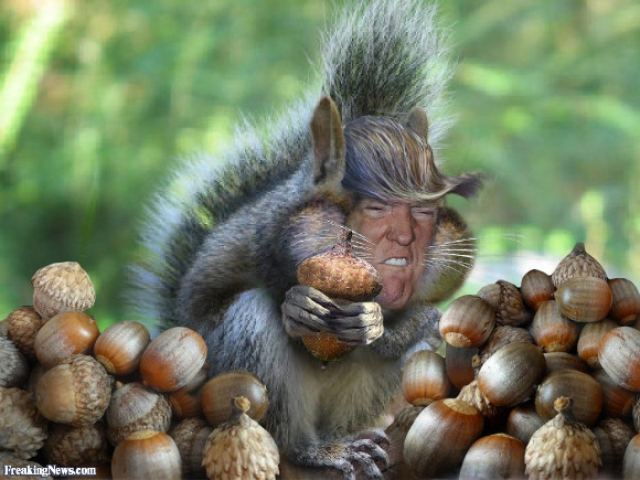 Donald-Trump-the-Squirrel.jpg