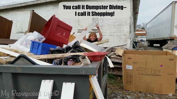 you-call-it-dumpster-diving-1.jpg