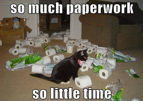 Cat_Paperwork.jpg