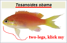 Tosanoides_obama.png