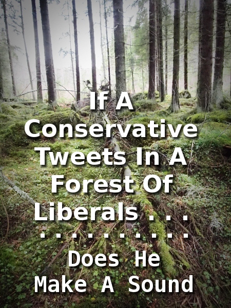 tweet in forest 256.jpg