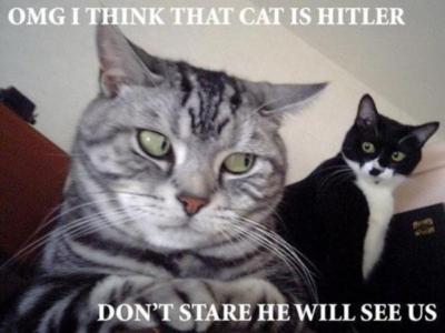 Hitler_Cat.jpg