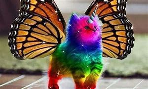 rainbow kitty.jpg