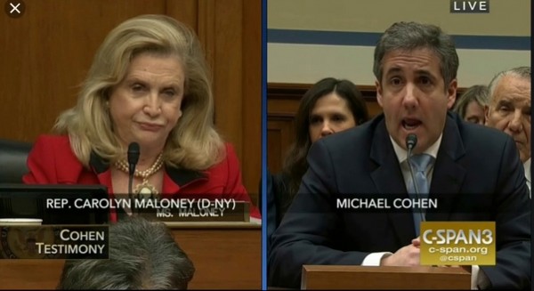 Cohen and Maloney.jpeg