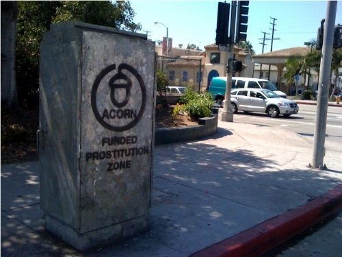 acorn-funded-prostitution-zone-1.jpg