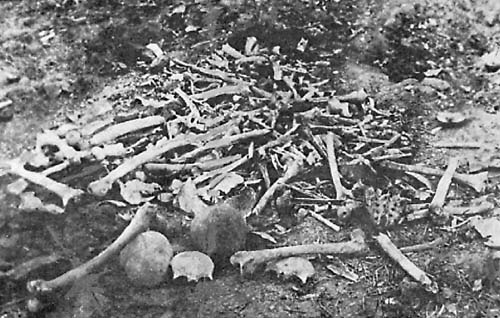 Human_remains_from_the_massacre_of_the_Armenians_at_Erzingan.jpg