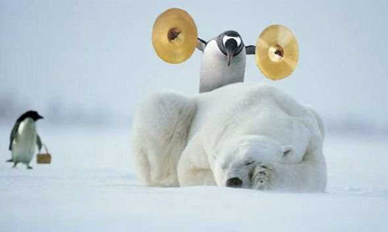 Polar_Bear_Penguin.jpg