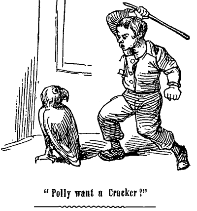 Polly_Want_Cracker.png