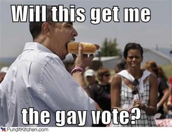 polls_political_pictures_barack_obama_gay_vote_4851_478022_poll_xlarge.jpg