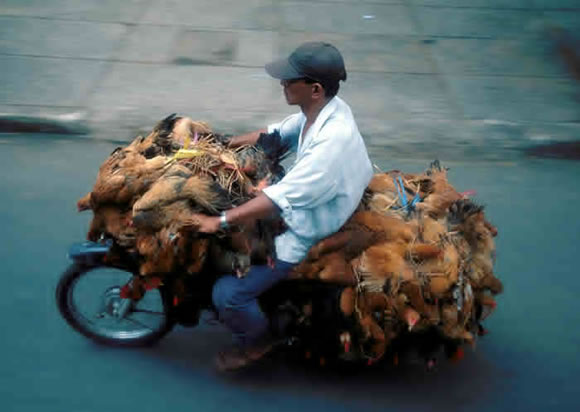 Saigon-Chicken-Man.jpg