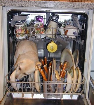 dishwasher4lu.jpg