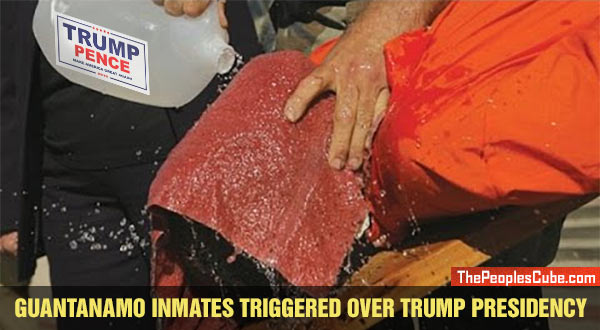 Guantanamo_Triggered_Trump.jpg