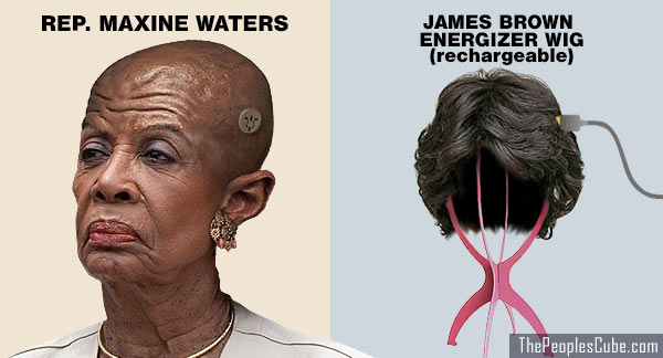 http://thepeoplescube.com/images/Maxine_Waters_No_Hair_Wig.jpg