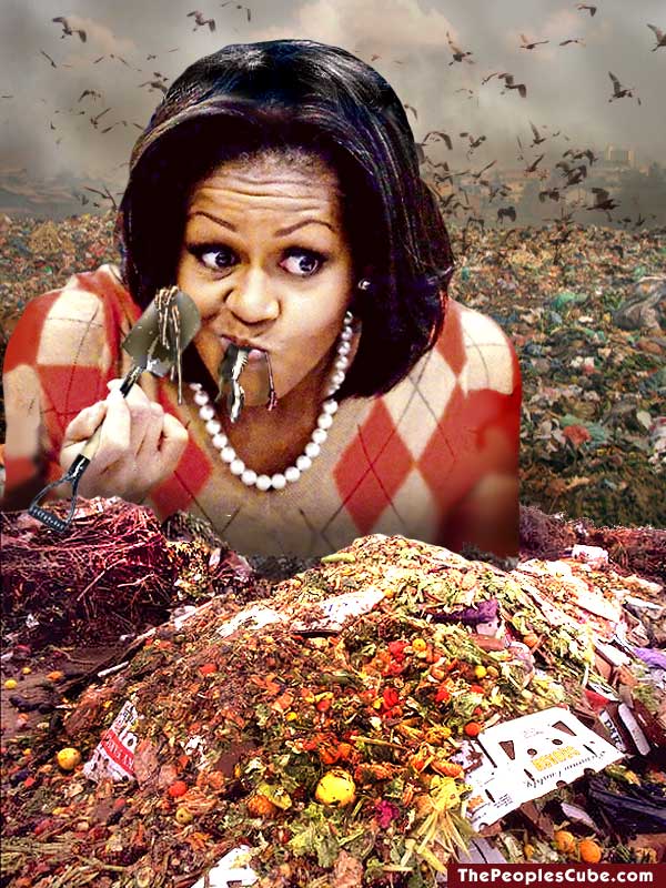 Funny Michelle Obama