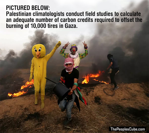 Palestinian_Climatologists_Gaza.jpg