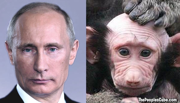 Options Russian Ape Woman