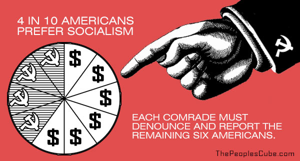 Report_Six_Americns_Socialism_Chart.jpg
