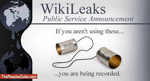 WikiLeans_Surveillance.jpg