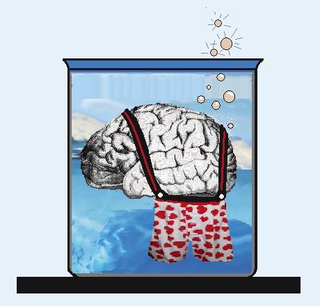 Brain Boxers.jpg