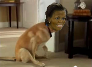 FLOTUS.jpg