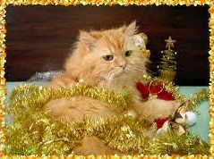 Kitty_New_Year.jpg