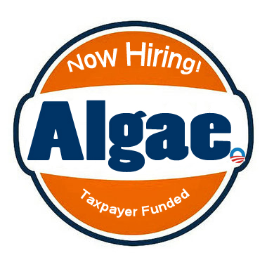 Algae2.jpg