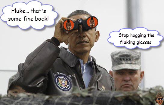 obama-sees-fluke.jpg