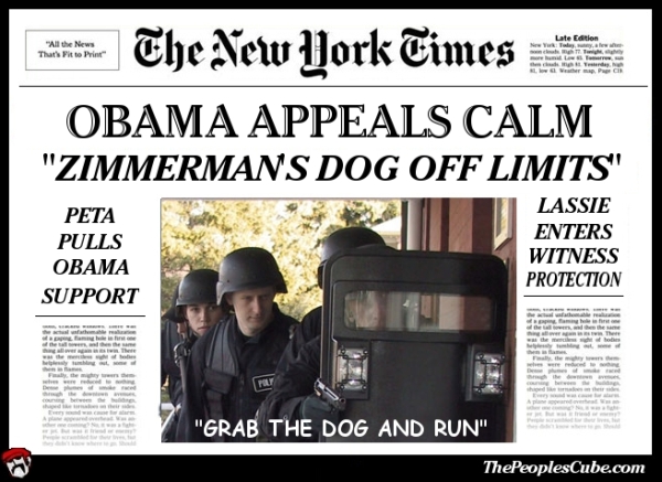 obama appeals.jpg
