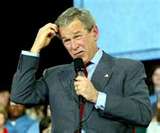 bush.jpg
