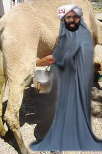 mrsalmilk.JPEG