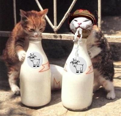 mt drink milk.jpg