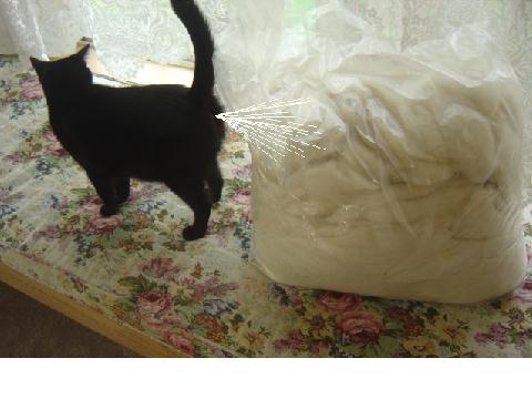 cat spray.jpg