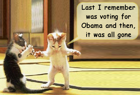obama voter.jpg