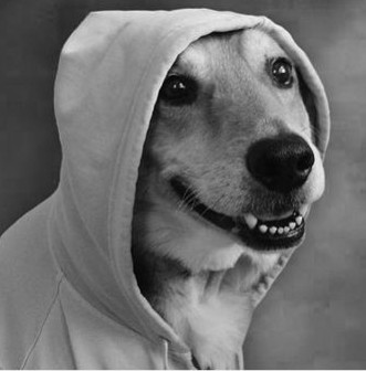 If-I-had-a-dof-it-would-look-like-the-dog-obama-ate-380x500.jpg