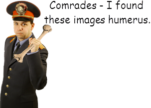 i-found-these-humerus.png