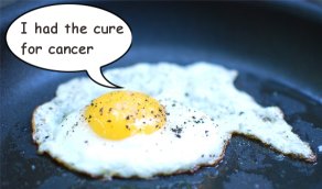 eggs.jpg
