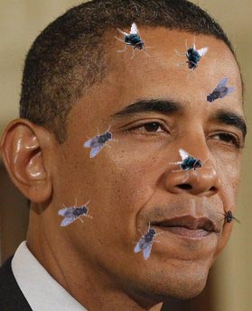 lord of the flies copy.jpg