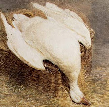 Dead_Golden_Goose.jpg