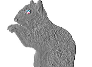 Squirrel4.jpg
