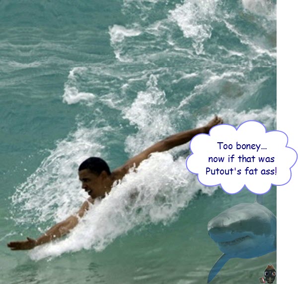 barry-swimming.jpg