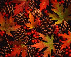 leaves.jpg