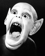 batboy.jpg