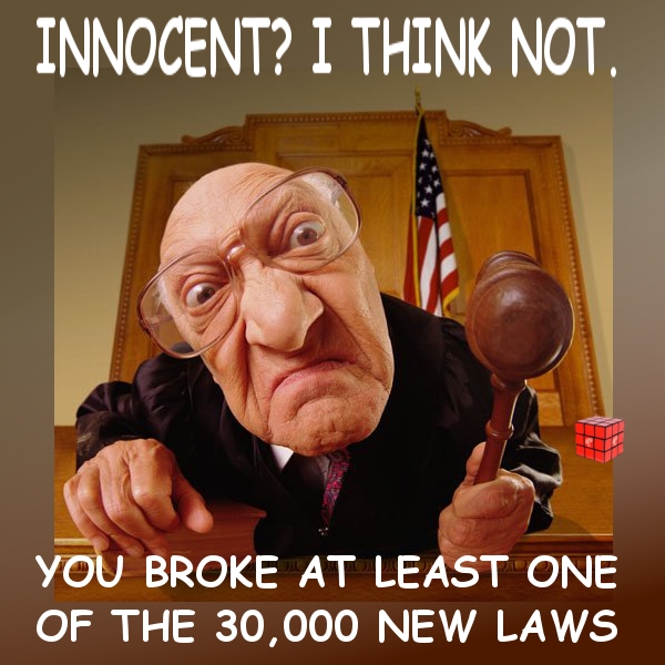 judge2.jpg