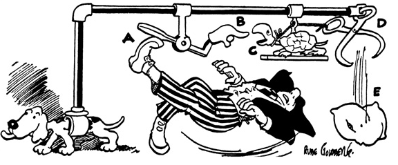 Rube Goldberg 3.png