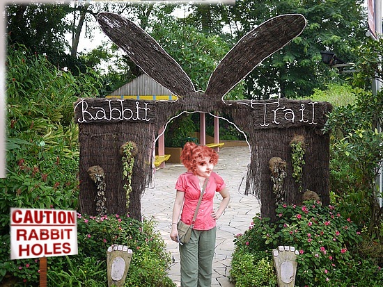 rabbit trail.jpg