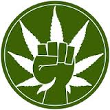 marajuana.jpg