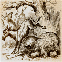 donkey_history.jpg