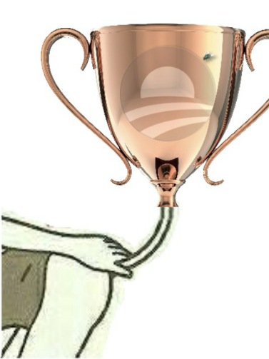 Bronze1.jpg