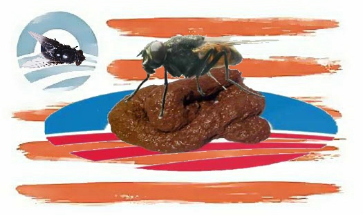 Obama_Flag_2.jpg